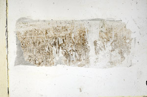 Plane Polarized, N5701