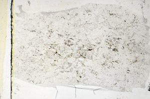 Plane Polarized, N5703
