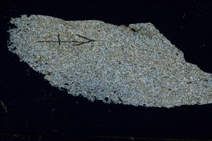 Cross Polarized, N5705