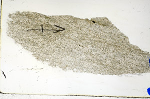 Plane Polarized, N5705