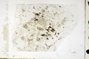 Plane Polarized, N5706
