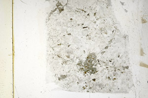 Plane Polarized, N5707
