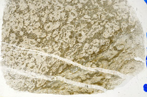 Plane Polarized, N5708