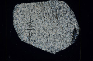 Cross Polarized, N5709