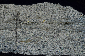 Cross Polarized, N5709/A