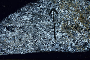 Cross Polarized, N5725