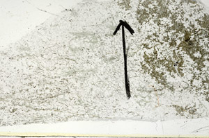 Plane Polarized, N5725