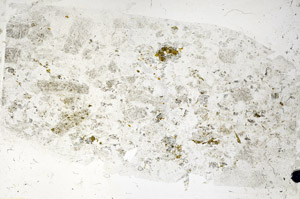 Plane Polarized, N5727