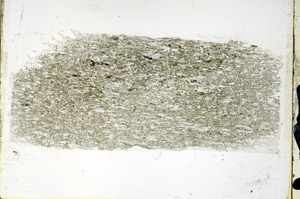 Plane Polarized, N5733