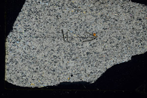 Cross Polarized, N5736/A
