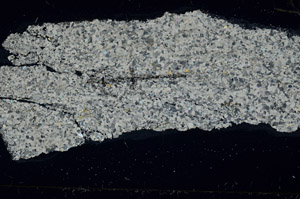 Cross Polarized, N5737/B