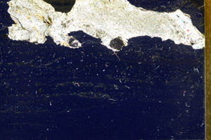 Cross Polarized, N5738