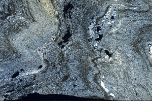 Cross Polarized, N5744