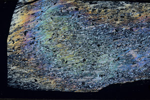 Cross Polarized, N5753