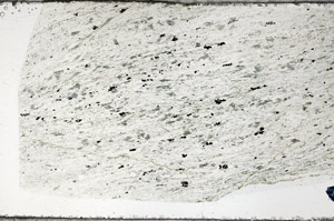 Plane Polarized, N5753