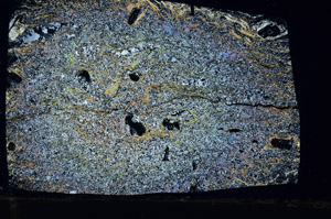 Cross Polarized, N5754