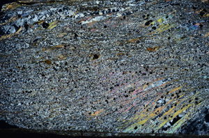 Cross Polarized, N5755