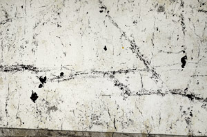 Plane Polarized, N5761