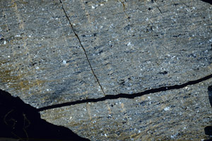 Cross Polarized, N5764