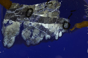 Cross Polarized, N5765