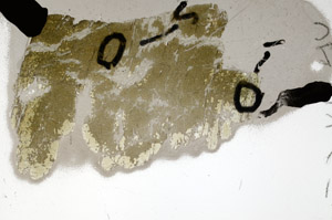 Plane Polarized, N5765