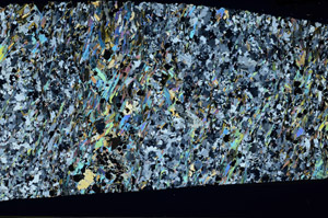 Cross Polarized, N5771