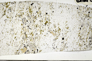 Plane Polarized, N5771
