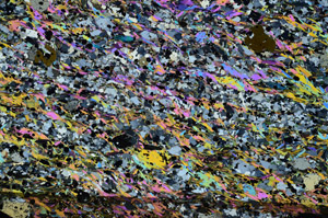 Cross Polarized, N5783