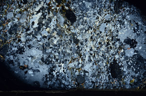 Cross Polarized, N5794