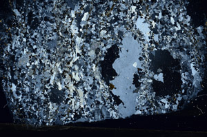 Cross Polarized, N5798