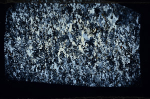 Cross Polarized, N5813