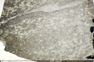 Plane Polarized, N5817/A