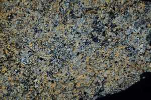 Cross Polarized, N5820