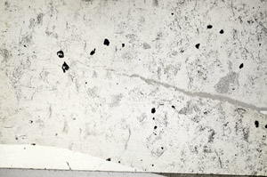 Plane Polarized, N5821