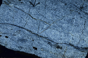 Cross Polarized, N5824
