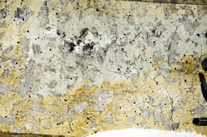 Plane Polarized, N5827