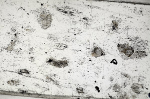 Plane Polarized, N5829