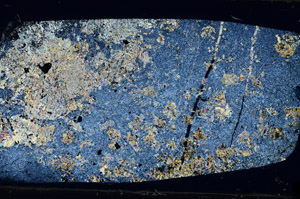 Cross Polarized, N5834