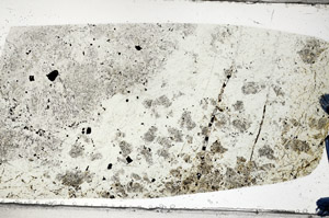 Plane Polarized, N5834