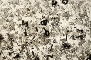 Plane Polarized, N5836