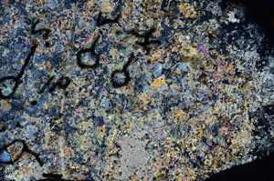 Cross Polarized, N5837