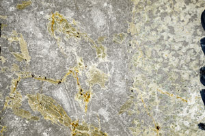 Plane Polarized, N5839