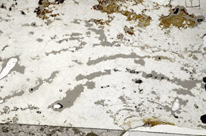 Plane Polarized, N5839/B