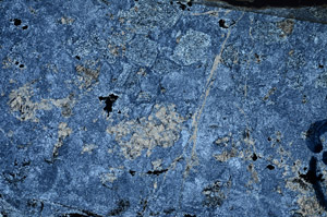Cross Polarized, N5843