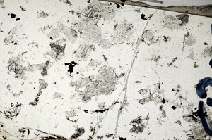Plane Polarized, N5843