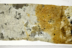 Plane Polarized, N5844