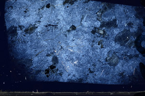Cross Polarized, N5849