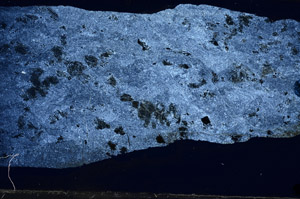 Cross Polarized, N5851