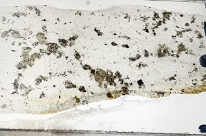 Plane Polarized, N5851