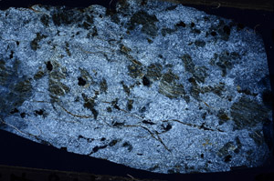 Cross Polarized, N5853